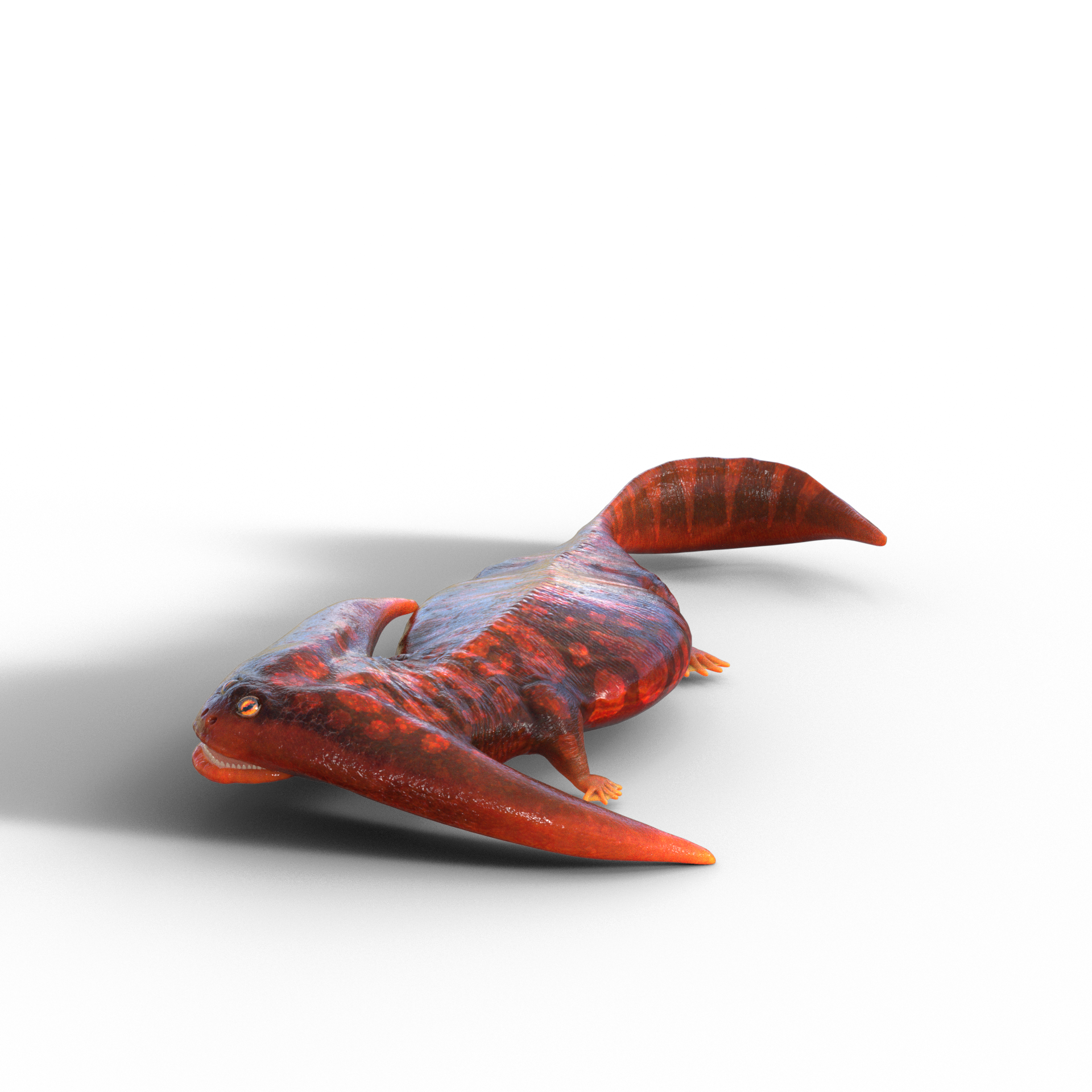 野生化したオスのドラパルト